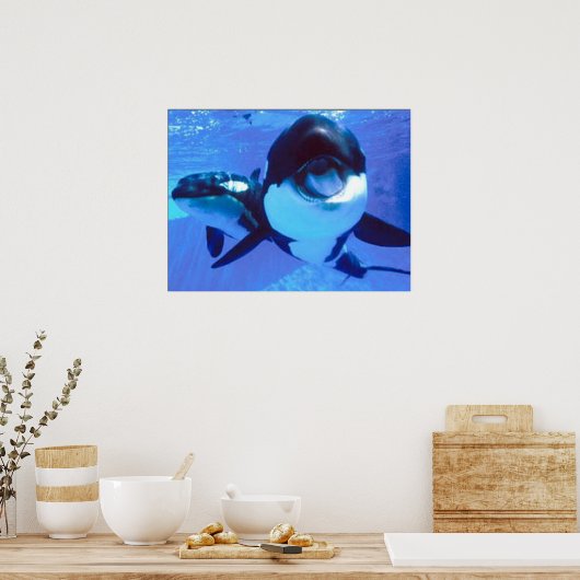 A Whale of a Time ポスター (キッチン)