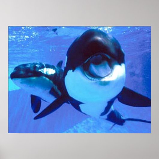 A Whale of a Time ポスター (正面)