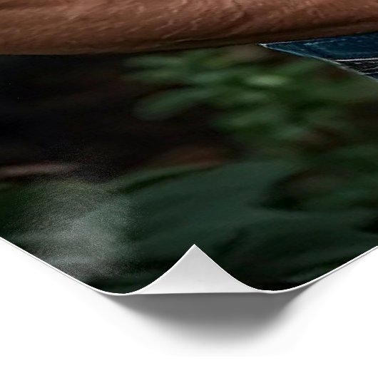 A Whisper of Romance ポスター (コーナー)