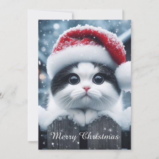 A white cat with Santa hat  シーズンカード (正面)