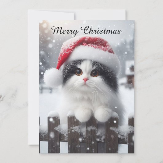A white cat with Santa hat  シーズンカード (正面)