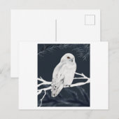 A white winter owl perches on a branch ポストカード (正面/裏面)