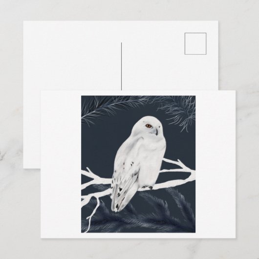 A white winter owl perches on a branch ポストカード (正面/裏面)