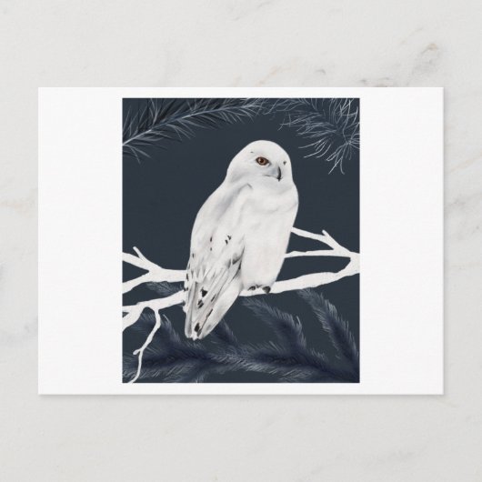 A white winter owl perches on a branch ポストカード (正面)