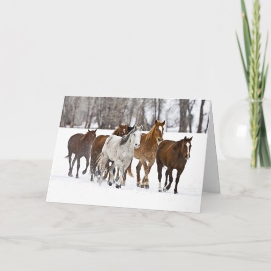 A Winter Scenic of Running Horses カード (正面)