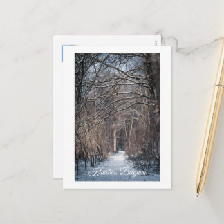 A Winters Day in Kluisbos Belgium シーズンポストカード