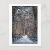 A Winters Day in Kluisbos Belgium シーズンポストカード (正面)