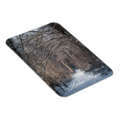 A Winters Day in Kluisbos Belgium マグネット (右側)