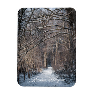 A Winters Day in Kluisbos Belgium マグネット