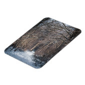 A Winters Day in Kluisbos Belgium マグネット (左側)