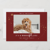 A WonderFURモダン Life Pet Photo Christmas H シーズンカード (正面)