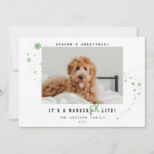 A WonderFURライフペット写真クリスマスホリデー シーズンカード (正面)