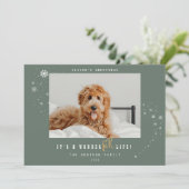 A WonderFUR Life Pet Photo Sageクリスマス シーズンカード (スタンド正面)