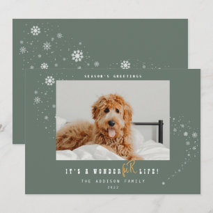 A WonderFUR Life Pet Photo Sageクリスマス シーズンカード