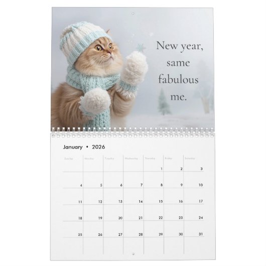 A Year of Cozy Cats Calendar カレンダー (1月 2026)