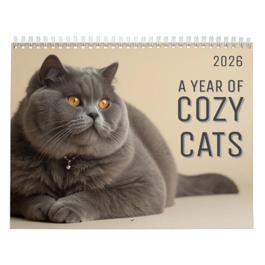 A Year of Cozy Cats Calendar カレンダー (カバー)
