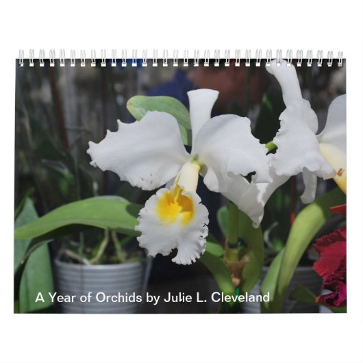 A Year of Orchids Flower Orchid Calendar Photos カレンダー (カバー)