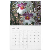 A Year of Orchids Flower Orchid Calendar Photos カレンダー (3月 2027)