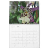 A Year of Orchids Flower Orchid Calendar Photos カレンダー (1月 2027)