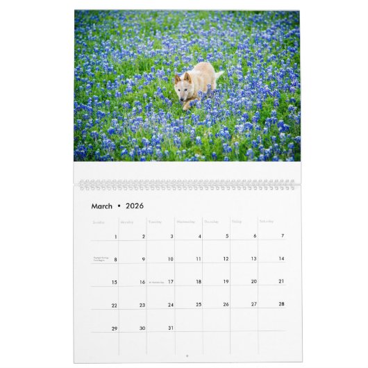 A Year with Matilda: 2020 Calendar カレンダー (3月 2026)