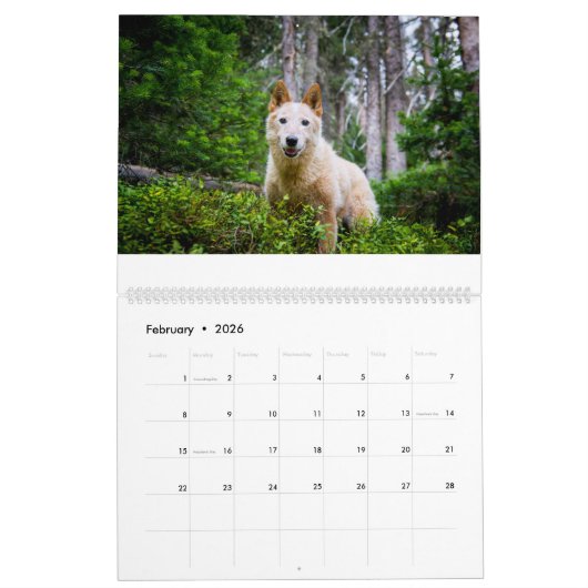 A Year with Matilda: 2020 Calendar カレンダー (2月 2026)