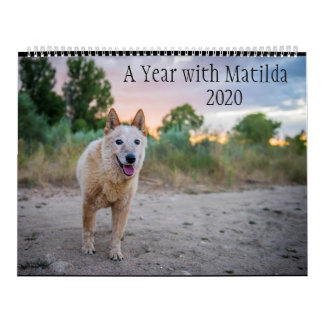 A Year with Matilda: 2020 Calendar カレンダー