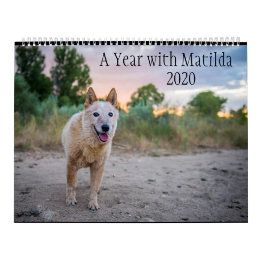 A Year with Matilda: 2020 Calendar カレンダー (カバー)
