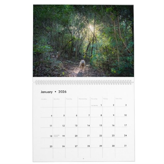 A Year with Matilda: 2020 Calendar カレンダー (1月 2026)