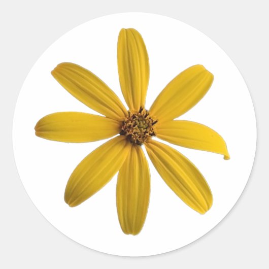 A Yellow Wildflower Sticker ラウンドシール (正面)
