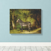 A Zebra, 1763 (キャンバス上の油) キャンバスプリント (インサイチュ (ウッドフロア))