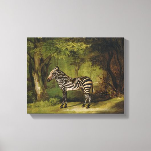 A Zebra, 1763 (キャンバス上の油) キャンバスプリント (正面)