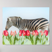 A Zebra Among the Tulips ポスター (正面)