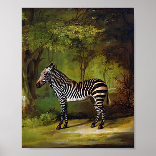 A Zebra by George Stubs ポスター (正面)