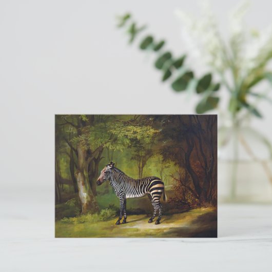 A Zebra by George Stubs ポストカード (スタンド正面)