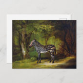 A Zebra by George Stubs ポストカード (正面/裏面)