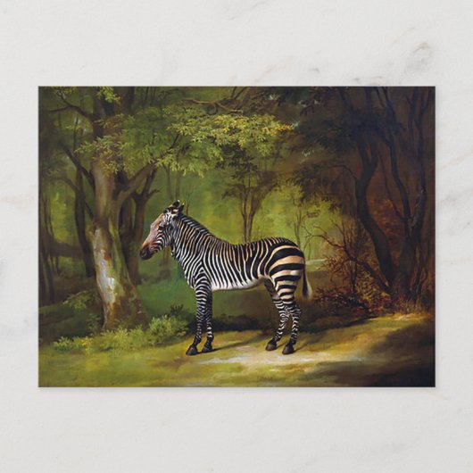 A Zebra by George Stubs ポストカード (正面)
