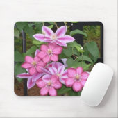 AA-ピンクのクレマチスの花のmousepad マウスパッド (マウス)
