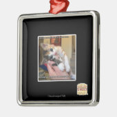 Aaaws メタルオーナメント (左)