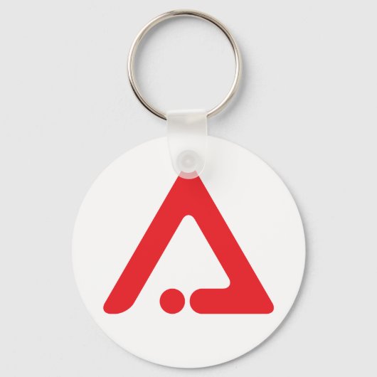 AAIベーシック・キーチェーン キーホルダー (正面)