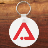 AAIベーシック・キーチェーン キーホルダー (正面)