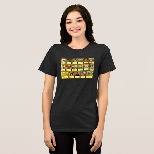 Aap Not Mies トライブレンドＴシャツ (正面全面)