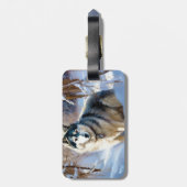 Aaskan Malamute雪のクリスマスを許可 ラゲッジタグ (裏面縦)