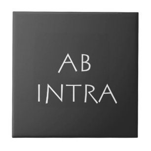 Abイントラ タイル