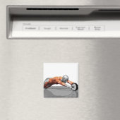 Abホイール マグネット (インサイチュ (食洗機))