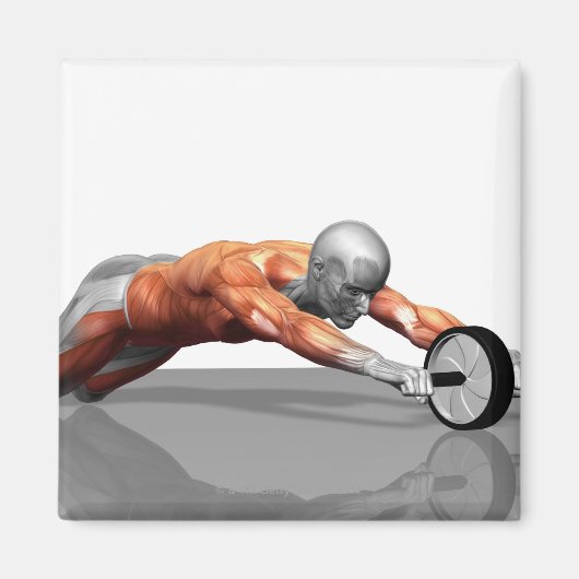 Abホイール マグネット (正面)