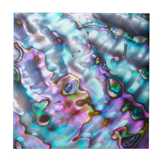 Abalone Ceramic Tile タイル (正面)
