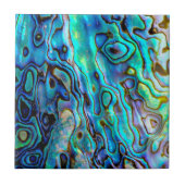 Abalone shell  タイル (正面)