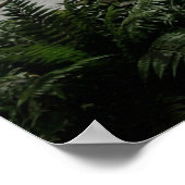 Abandoned Theater Nature Reclaimed ポスター (角)