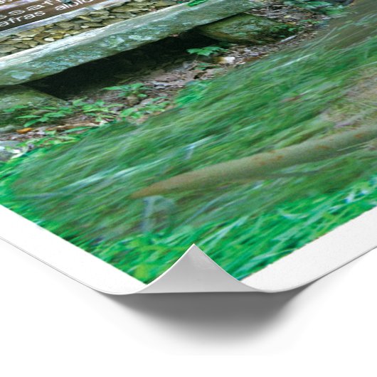 Abbos Alley Collage Sewanee, TN OlioStudios.com ポスター (角)