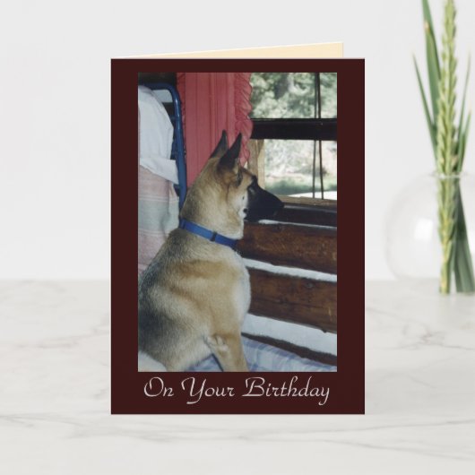 Abbyはバースデー・カードを待っています カード (正面)